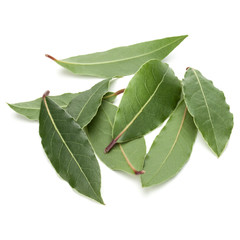 Aromatic bay leaves