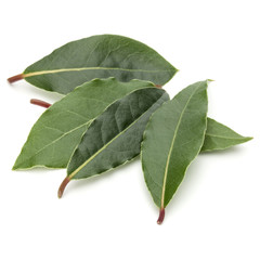Aromatic bay leaves