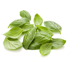 Fototapeta na wymiar Sweet basil herb leaves handful isolated on white background closeup
