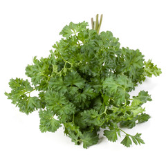 parsley leaves bunch isolated on white background cutout