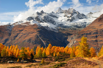 Matterhorn and Autumn