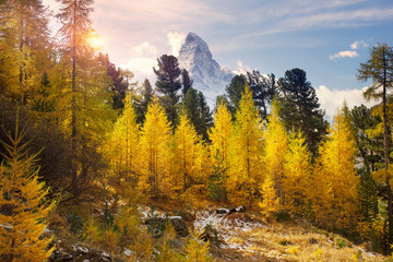 Matterhorn and Autumn