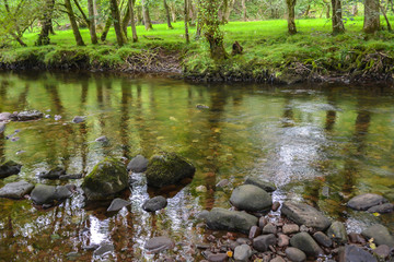 Watercourse in idyllic landscape in Wales, United Kingdom