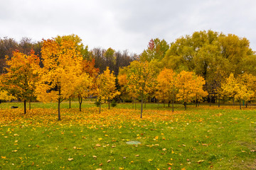 Beautiful autumn park