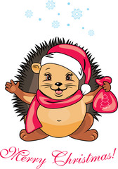Happy Santa hedgehog with a christmas gift