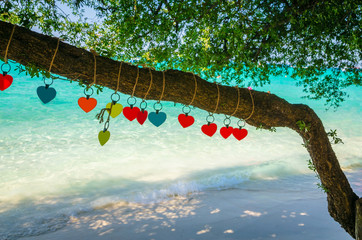 Hearts on the tree on tropical beach of Ko Lan, island near Pattaya, Thailand