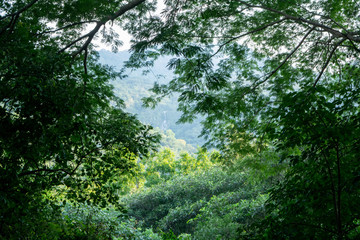 cascada de la media luna