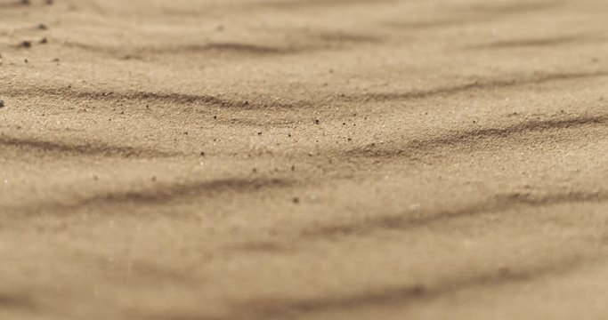 Sand dunes at ocean beach at sunset, with the wind blowing and the dust.Cinematic closeup slow motion 4K footage. Shot with Blackmagic Design Pocket Cinema Camera 4K.