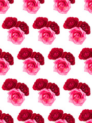 red and pink rose flower bouquet isolated on white background cutout. Floral seamless pattern.