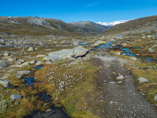 Autumn view on red Krossbu tourist station mountain hut buildings from hike to glacier Smorstabbreen with blue creek stream, snow-capped mountains and orange moss  in Jotunheimen National Park, Norway