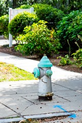 Fire Hydrant in a residential area painted in blue and silver  colors