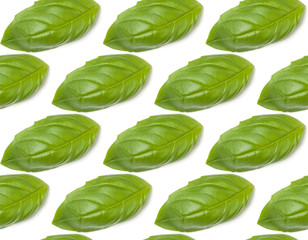 Obraz premium Sweet Basil herb leaves isolated on white background closeup. Flat lay, top view. Seamless pattern.