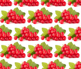 Red currants isolated on white background cutout.Creative layout, fruit seamless pattern.