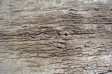 wood, texture, background, nature, gray