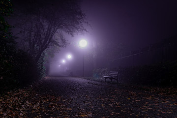 aleja w parku w nocy