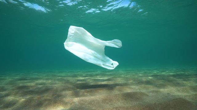 Plastic pollution, a bag underwater drifts in the sea above a sandy bottom