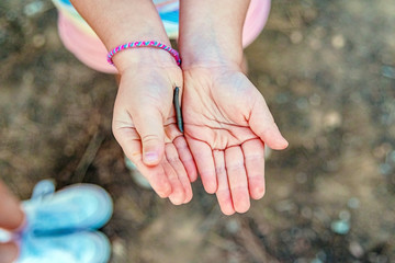 A girl holds a millipede insect worm in her hands, found during a field trip.