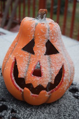 Snowy Pumpkin