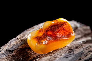 Naklejka na ściany i meble Natural amber. A piece of yellow opaque natural amber on large piece of dark stoned wood.