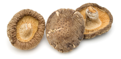 Dried Shiitake Mushroom isolated on white background
