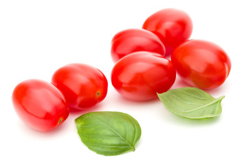 fresh plum tomato with basil leaf isolated on white background