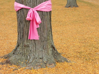 Pink ribbons for October, Breast Cancer Awareness Month