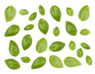 Creative layout made of Sweet Basil herb leaves isolated on white background. Flat lay, top view. Food ingredient pattern.