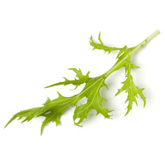 salad leaf isolated on white background. Top view, flat lay.