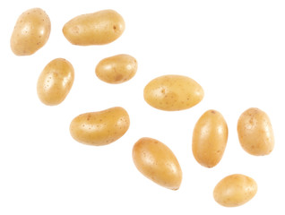 Potato isolated on white background with copy space for your text. Top view. Flat lay pattern. Potatoes in air, without shadow.