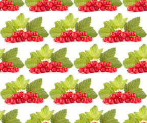 Red currants isolated on white background cutout.Creative layout, fruit seamless pattern.