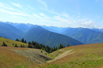 Olympic Mountain Range, Pacific Northwest, Olympic Peninsula, Washington State. 