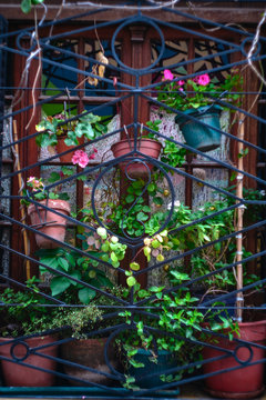 Ventana con muchas masetas con flores de diferente color
