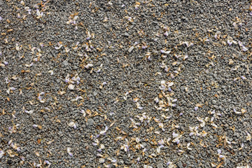 pebble stone background, closeup and full frame