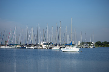 Sailboats moored in a calm bay off a white sandy shore.