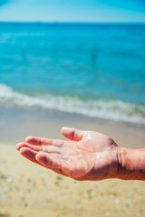small transpatent jellyfish