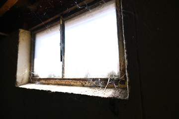Basement Window Cobwebs