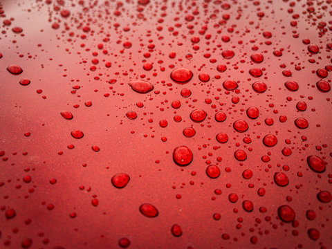 hood of red car, covered in raindrops