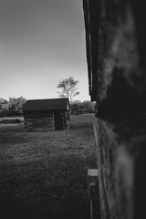 casita de madera abandona 