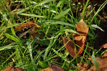 Jesień_12 © Arkadiusz