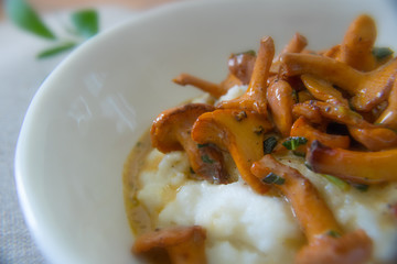 Food photography of creamy polenta with chantrelle mushrooms in an apricot sauce