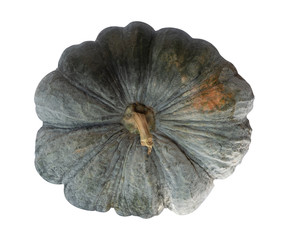 Pumpkin with clipping path in isolated white background