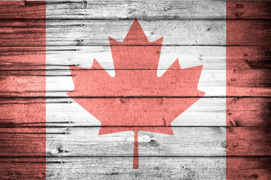 Canadian flag painted on wooden textured background. Red leaf and red borders on white backdrop. Canada, national flag and country concept.