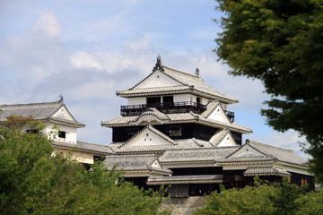 Fototapeta premium 松山城