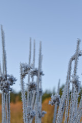 Morning hike at Green timbers regional park, Surrey, BC