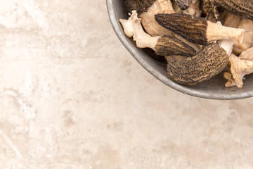 A bowl of freshly harvested morel mushrooms