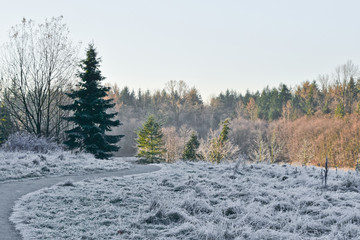 Morning hike at Green timbers regional park, Surrey, BC