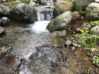rios de la naturaleza