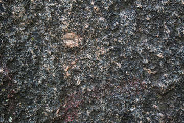 loose, rough stone texture, background