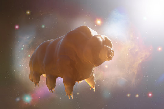 Tardigrada In Space 3D Render