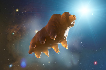 Tardigrada in space 3D render